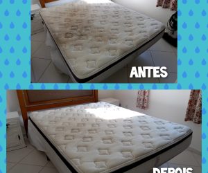 225357567_857506008199557_3712530254822092799_n