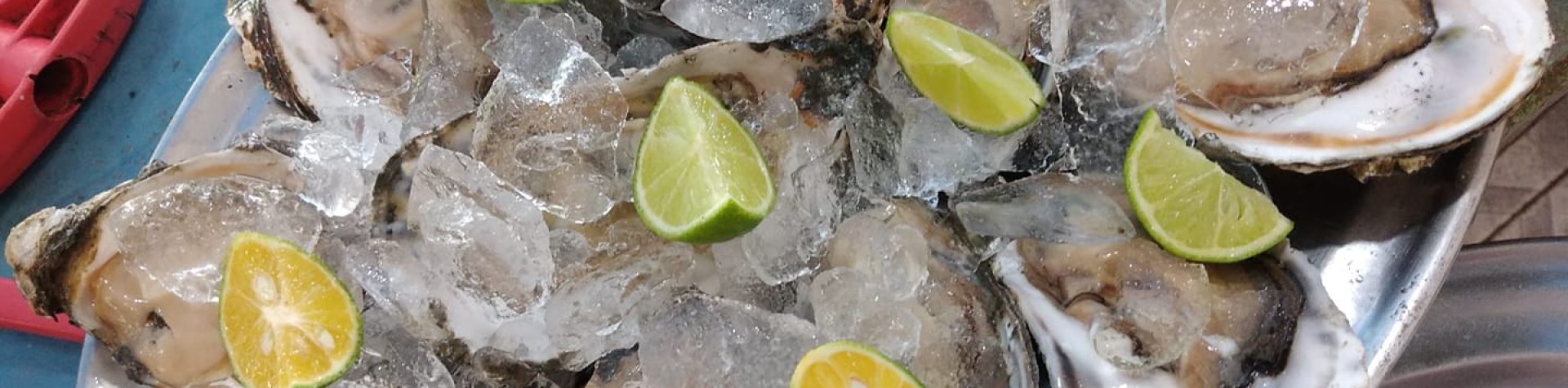 302305785_455649613246845_3088053370930204943_n