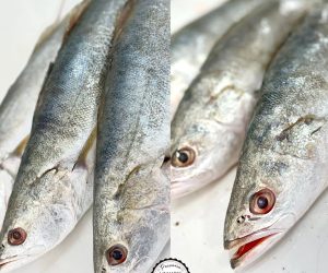 338826171_528043316153897_8710970257846488278_n