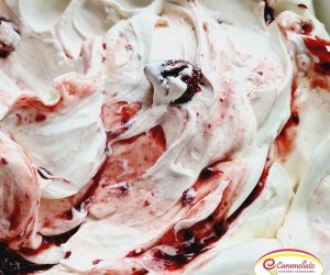 340428228_1245514693018664_1318307565220338914_n