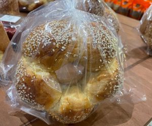 357389511_246202181489199_196928036858105388_n