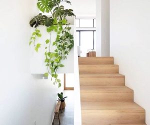 370510801_259765806939447_226021407148967358_n