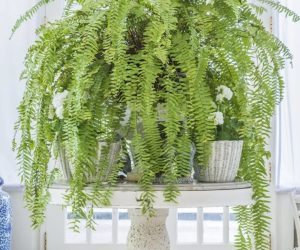 407379108_316265481289479_6933421017569514575_n