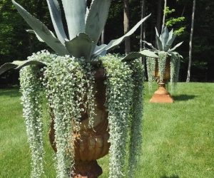 410395151_322768190639208_2230430429568989884_n