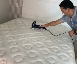 CAB8037D-9564-4674-8C81-9CDBD969F6C1