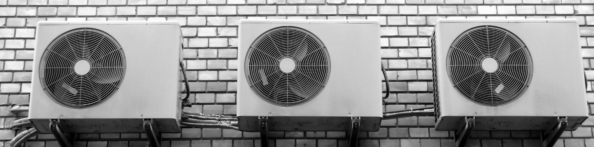 Design-sem-nome-2023-12-07T231726.521