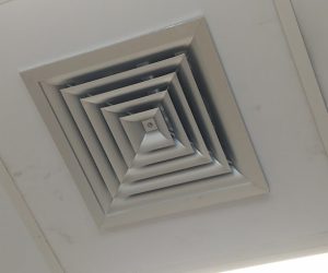 IMG_20220418_103720051