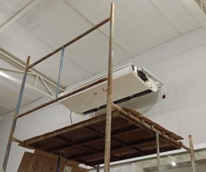 IMG_20221006_193731708_MFNR