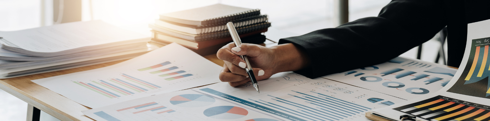 Modelo-Banner-Site-1-1