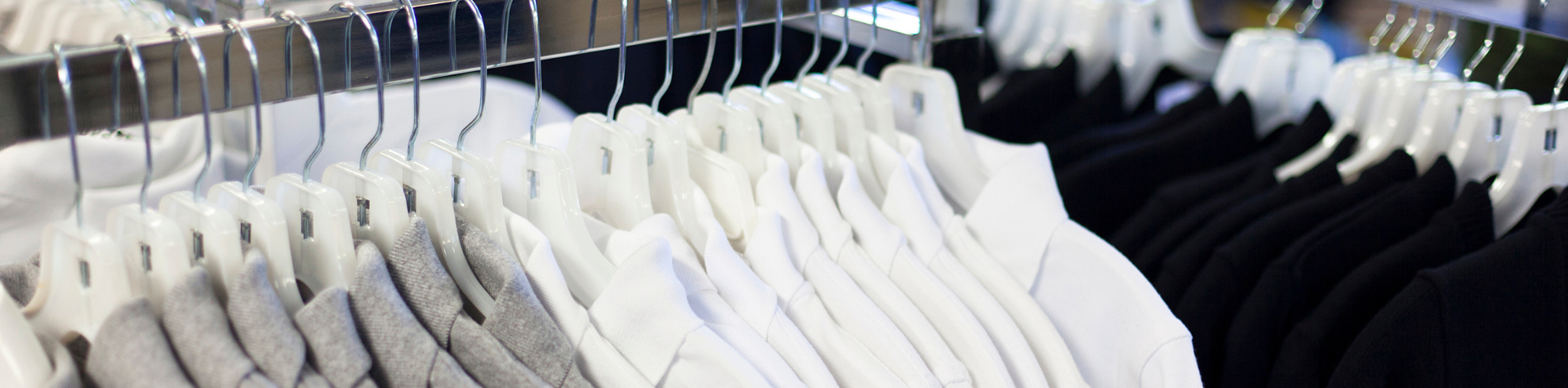 Modelo-Banner-Site-11