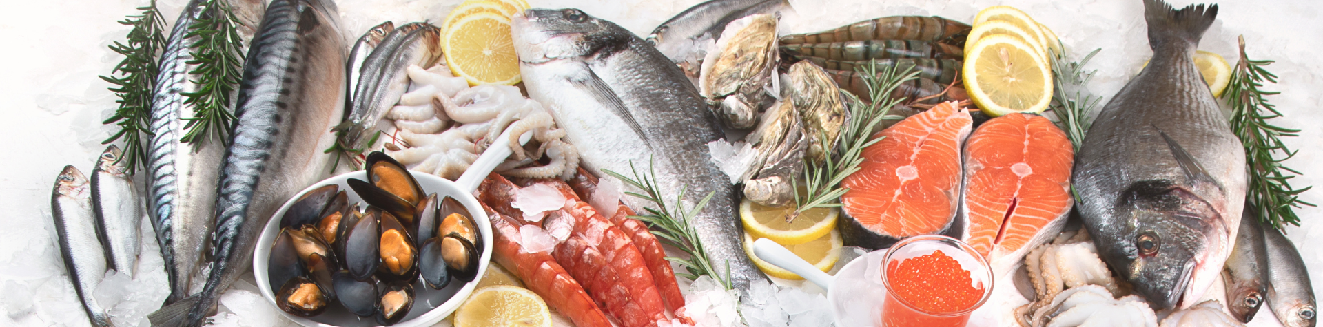 Modelo-Banner-Site-12-1