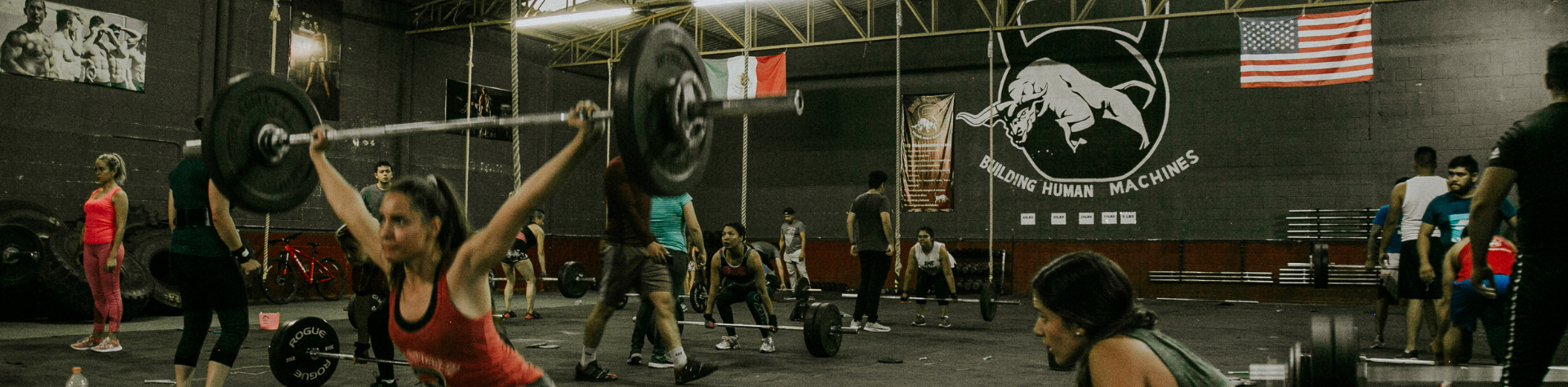 Modelo-Banner-Site-12