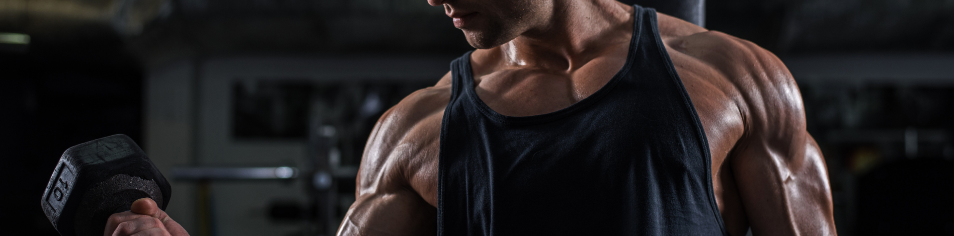 Modelo-Banner-Site-14