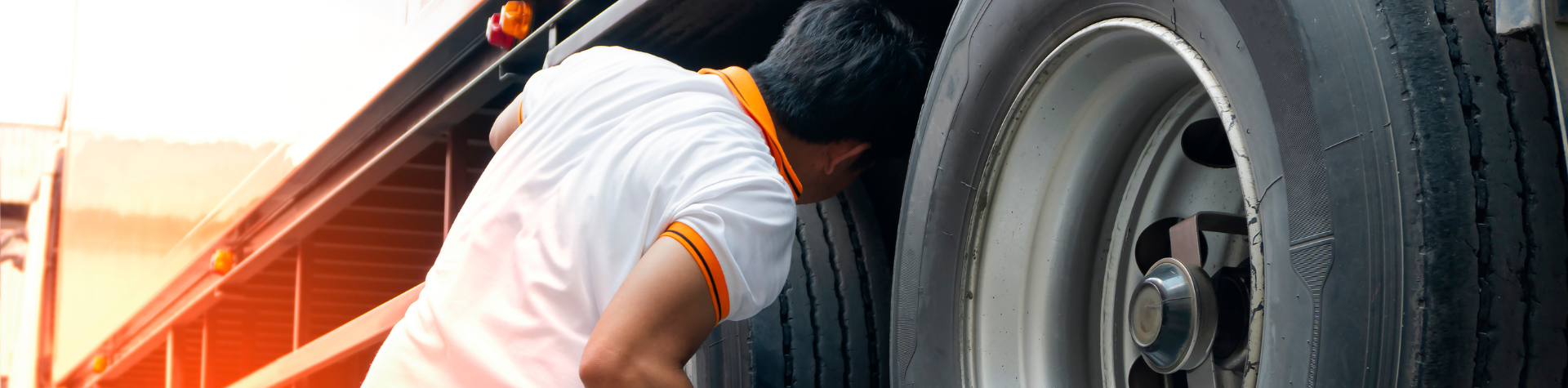 Modelo-Banner-Site-18