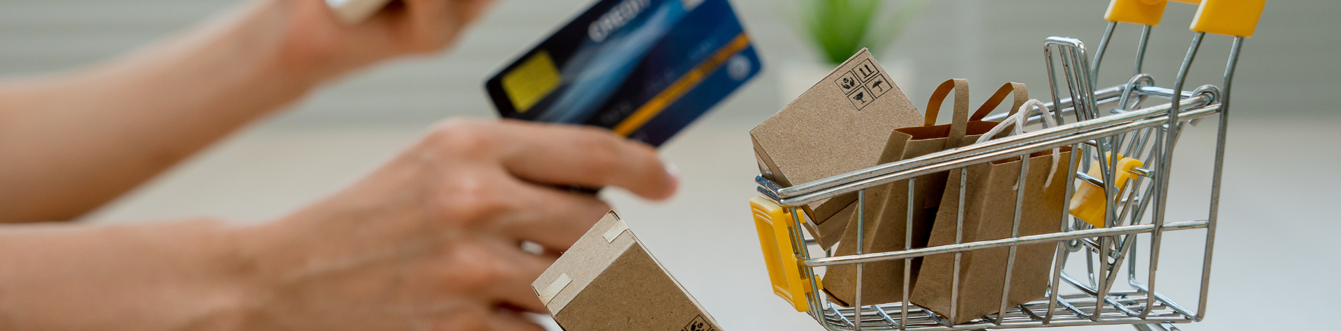 Modelo-Banner-Site-26