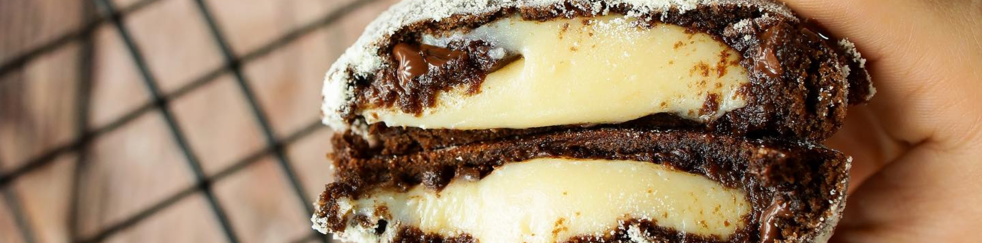 Modelo-Banner-Site-5-1