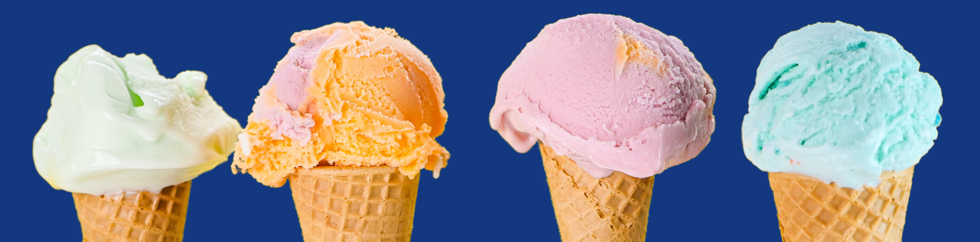 Modelo-Banner-Site-53