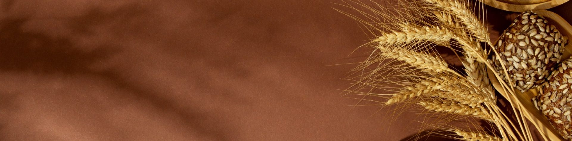 WhatsApp-Image-2023-10-10-at-17.09.57