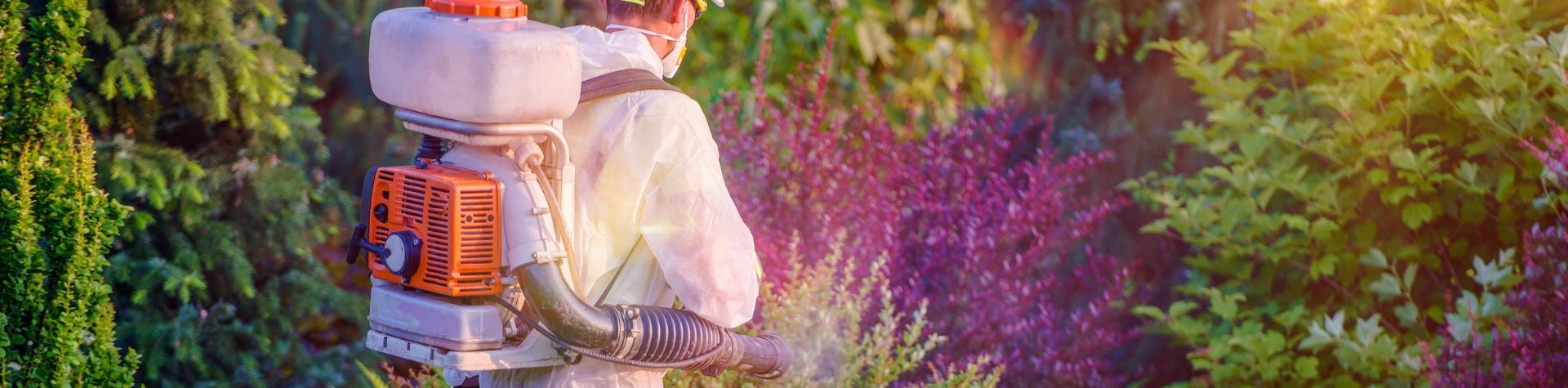 banner-pc-bertioga-tem-24