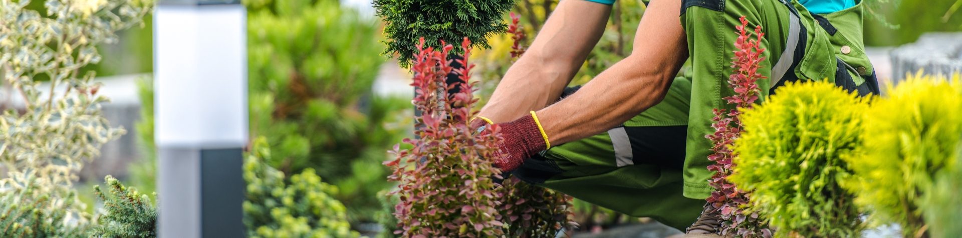 banner-pc-bertioga-tem-26