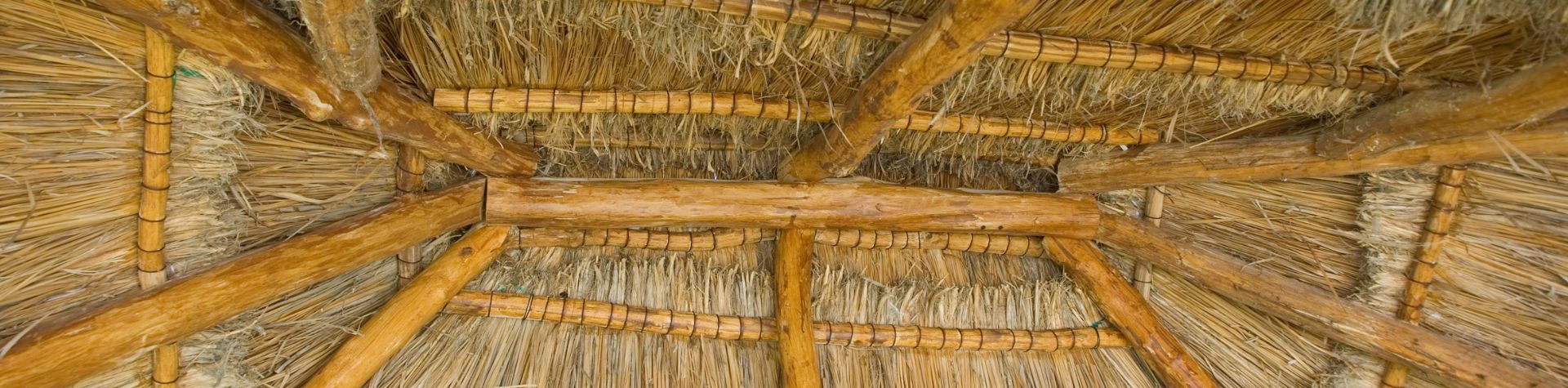 banner-pc-bertioga-tem-39