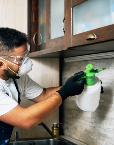 banner-mob-bertioga-tem-2