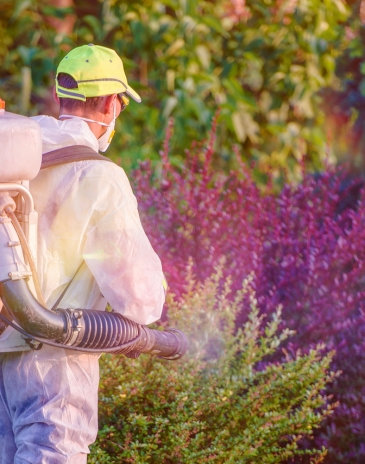 banner-mob-bertioga-tem-22