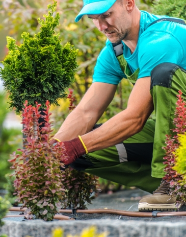 banner-mob-bertioga-tem-24