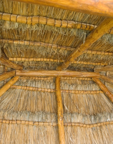 banner-mob-bertioga-tem-37