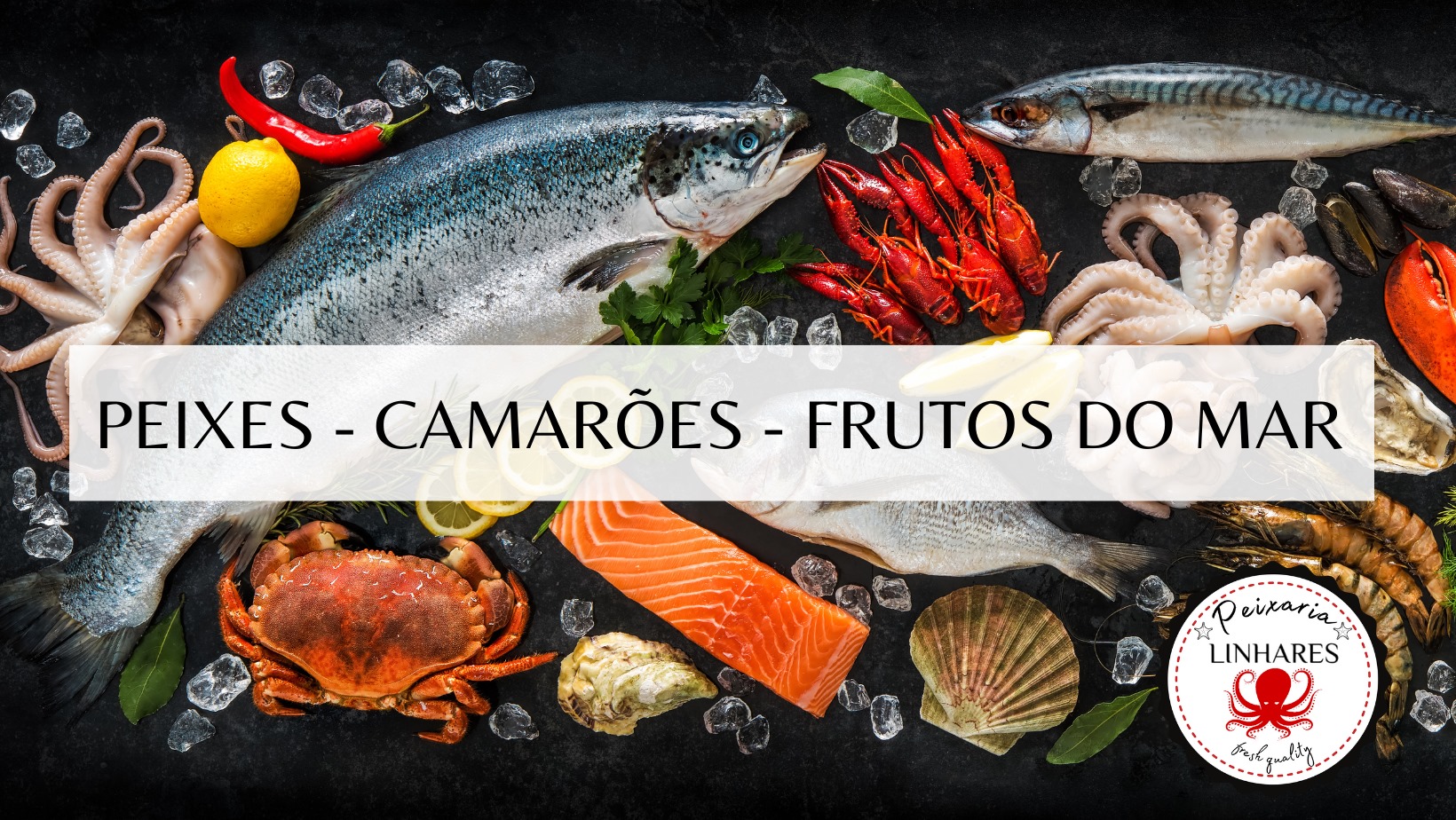 360088312_740503838080950_2664632463666907303_n