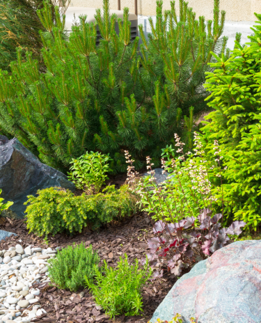 Banner-Mobile-Celular-33