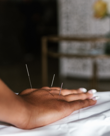 Design-sem-nome-2023-12-12T212023.502